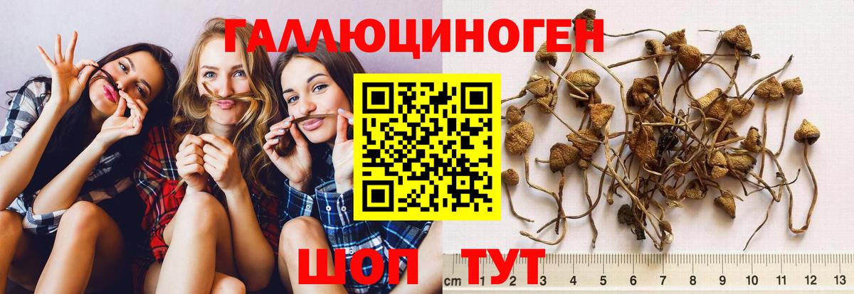 Гашиш Орёл
