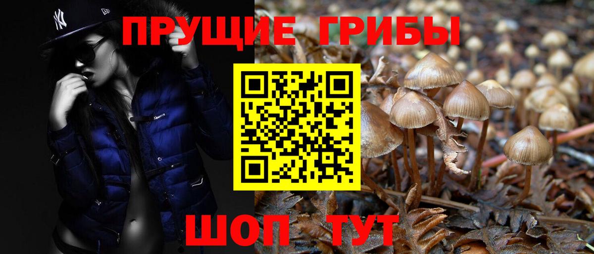 Псилоцибиновые грибы Cubensis  Галлюциногенные грибы прущие грибы  Вход с VPN  Орёл 