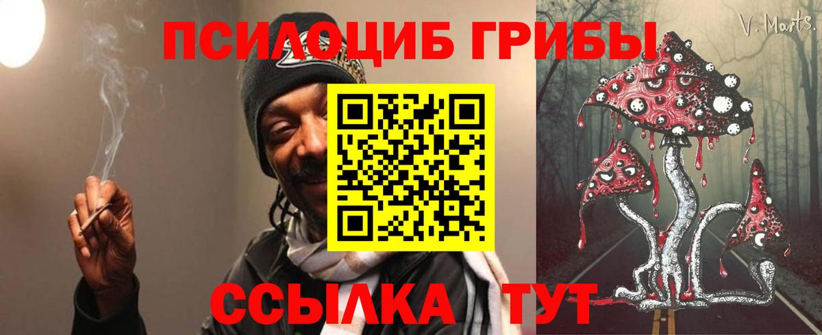 Псилоцибиновые грибы мицелий Орёл